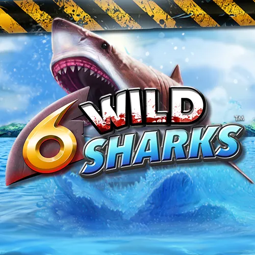6 Wild Sharks
